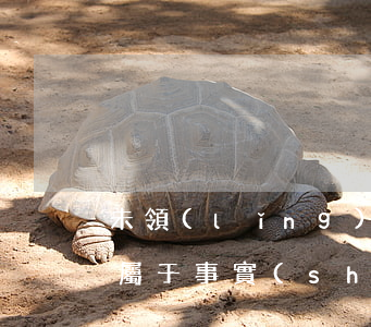 未領(lǐng)結(jié)婚辦有婚禮屬于事實(shí)婚姻嗎？
